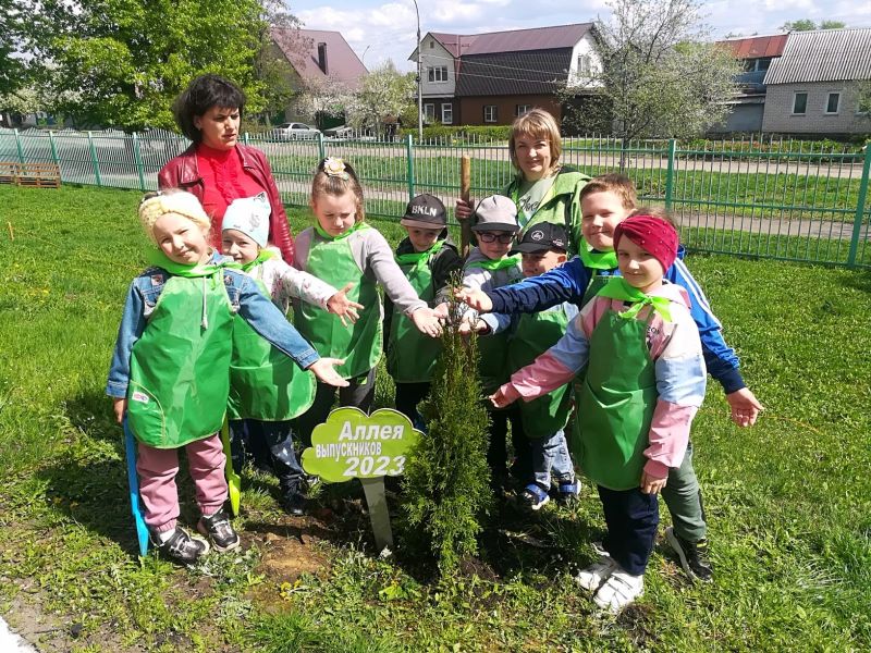 Аллея выпускников картинки